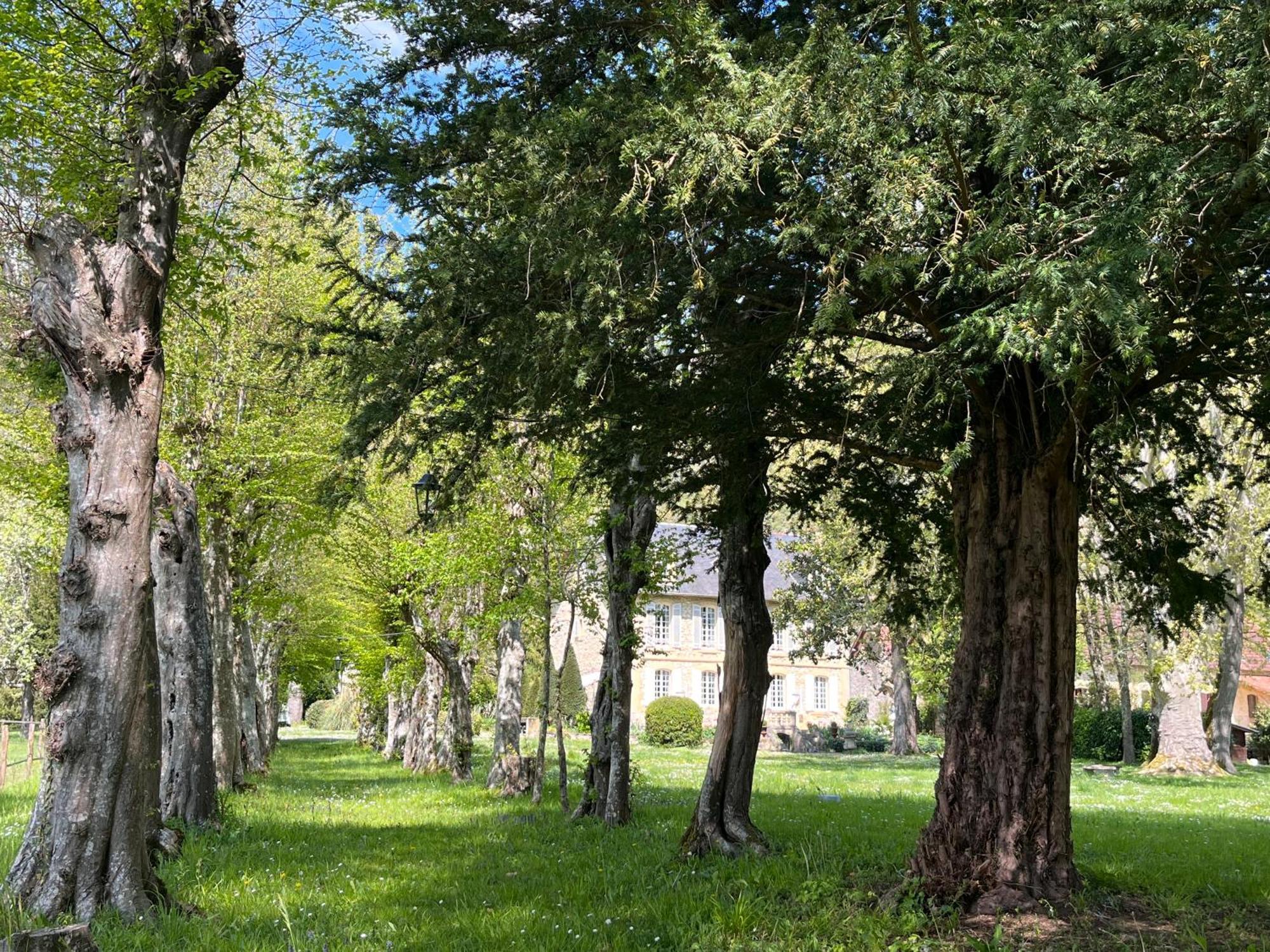 Le Bouquet Bleu Bed And Breakfast Siorac-en-Perigord Екстер'єр фото