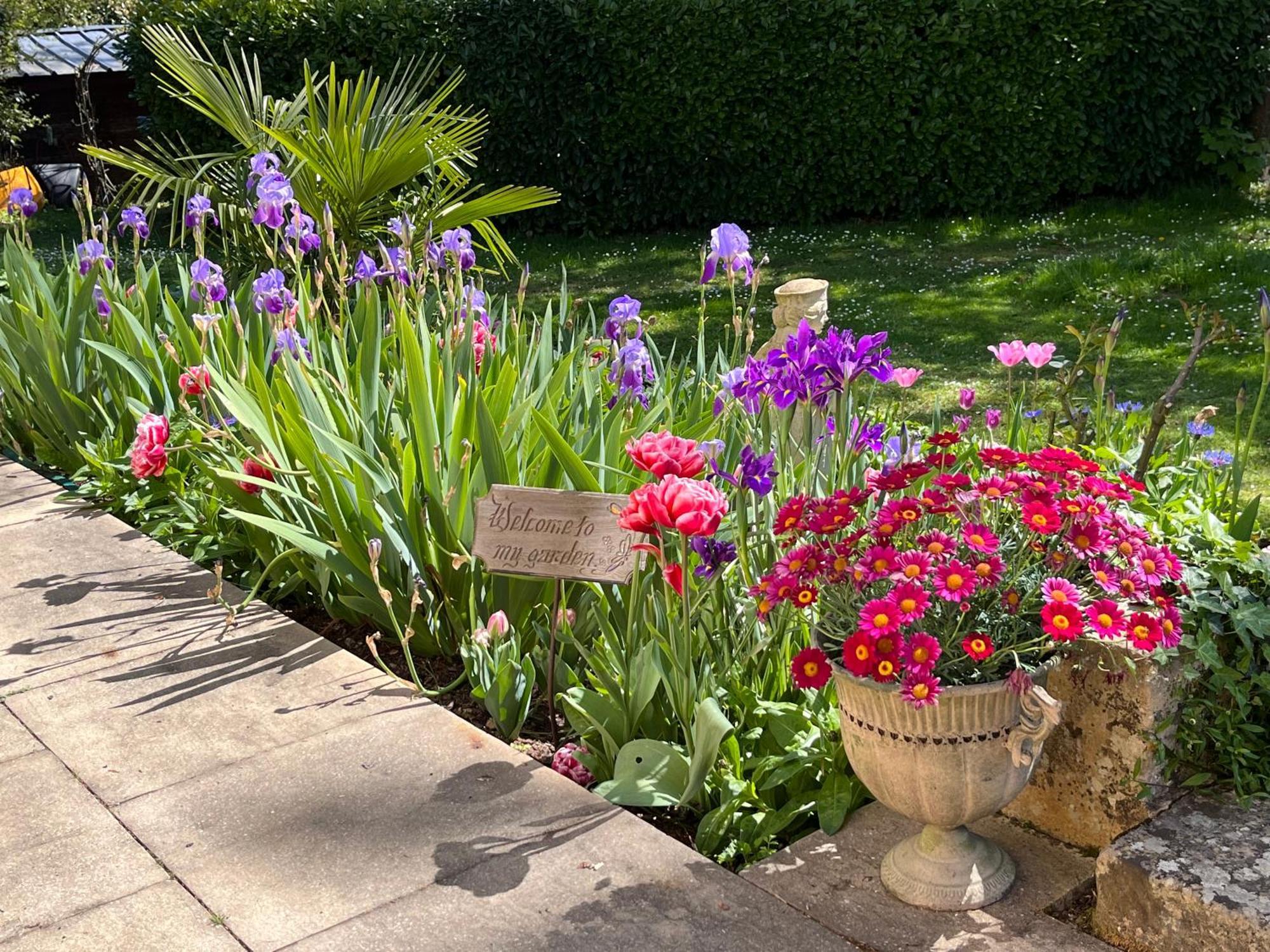 Le Bouquet Bleu Bed And Breakfast Siorac-en-Perigord Екстер'єр фото